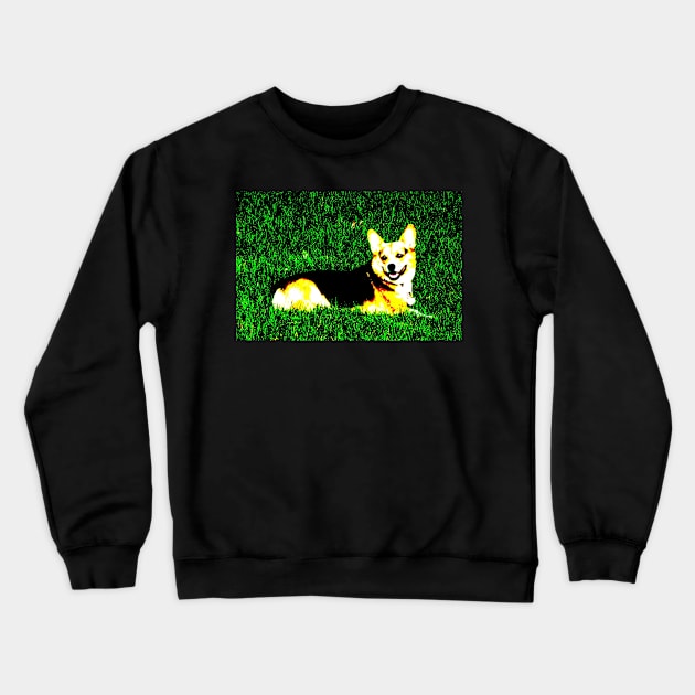 Nugget Crewneck Sweatshirt by ThomasGallant